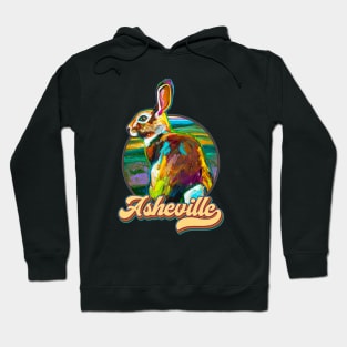 Retro Asheville Rabbit by Robert Phelps Hoodie